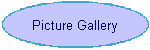 Picture Gallery