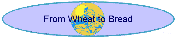 From Wheat to Bread